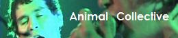 Animal Collective
